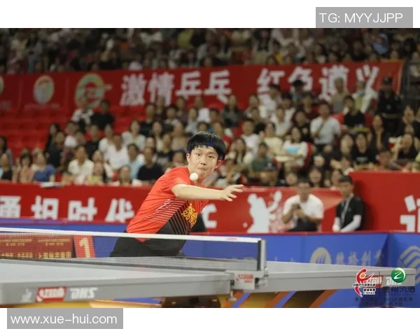 对话杨伟：回顾乒乓球生涯的辉煌与挑战与未来展望