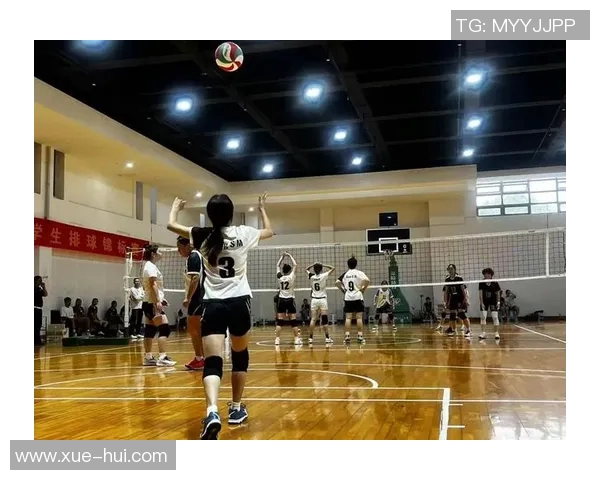 杭州排球队技术实力大幅提升引领全国排球新潮流