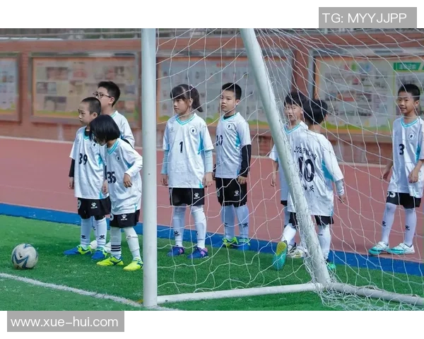 足球明星坐冷板凳的背后故事与他们的奋斗历程揭秘